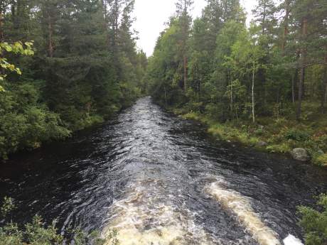 Sångån by the outflow from lake Nissången - good for stream fishing